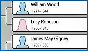 Excerpt from family tree displaying William Wood, Lucy Robeson and James May Gigney. Image used as theme for Thumbnail reports.