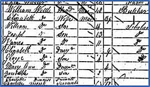 Excerpt from 1851 census for William Wood who was born in 1811. In his household are seven children and 2 servants.